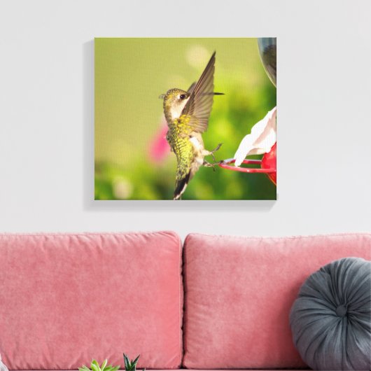 Ruby-Throated Hummingbird Leinwanddruck (Insitu (Wohnzimmer))