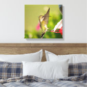 Ruby-Throated Hummingbird Leinwanddruck (Insitu (Schlafzimmer))