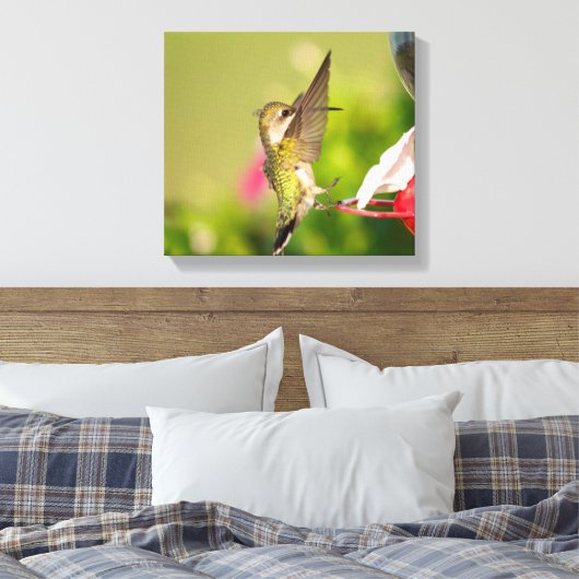 Ruby-Throated Hummingbird Leinwanddruck (Insitu (Schlafzimmer))