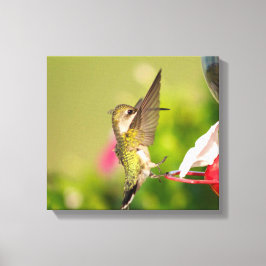 Ruby-Throated Hummingbird Leinwanddruck