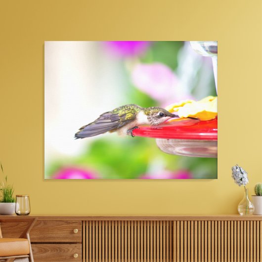 Ruby-Throated Hummingbird Leinwanddruck (Insitu (Wohnzimmer))
