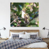 Ruby-Throated Hummingbird Leinwanddruck (Insitu (Schlafzimmer))