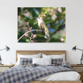 Ruby-Throated Hummingbird Leinwanddruck (Insitu (Schlafzimmer))