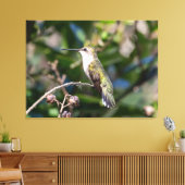 Ruby-Throated Hummingbird Leinwanddruck (Insitu (Wohnzimmer))