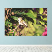 Ruby-Throated Hummingbird Leinwanddruck (Insitu (Holzboden))