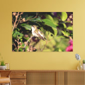 Ruby-Throated Hummingbird Leinwanddruck (Insitu (Wohnzimmer))