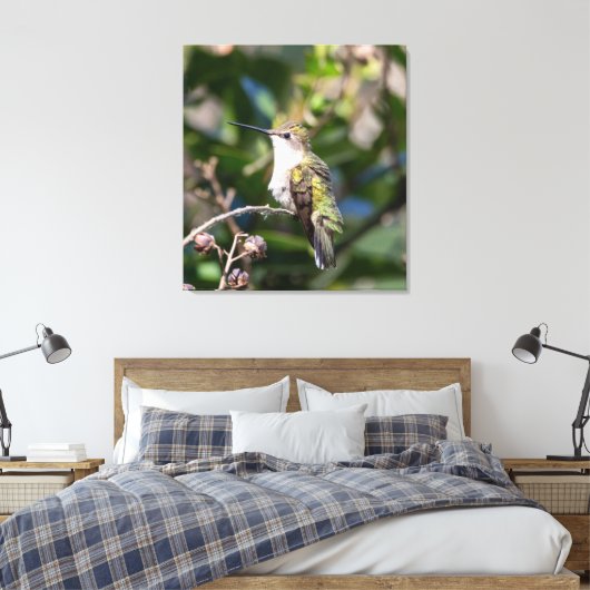 Ruby-Throated Hummingbird Leinwanddruck (Insitu (Schlafzimmer))