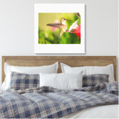 Ruby-Throated Hummingbird Leinwanddruck (Insitu (Schlafzimmer))