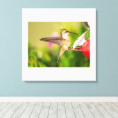 Ruby-Throated Hummingbird Leinwanddruck (Insitu (Holzboden))