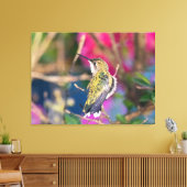 Ruby-Throated Hummingbird Leinwanddruck (Insitu (Wohnzimmer))