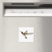 Ruby Throated Hummingbird Magnet (In Situ (Geschirrspüler))