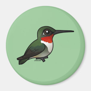 Ruby-throated Hummingbird Magnet