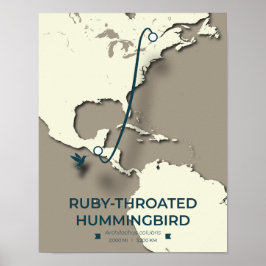 Ruby-throated Hummingbird Migration Map Poster