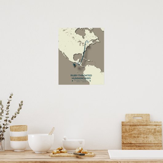 Ruby-throated Hummingbird Migration Map Poster (Küche)