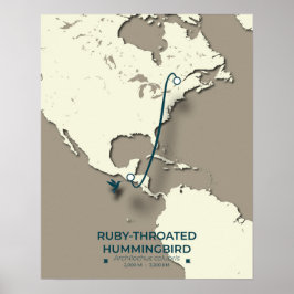 Ruby-throated Hummingbird Migration Map Poster