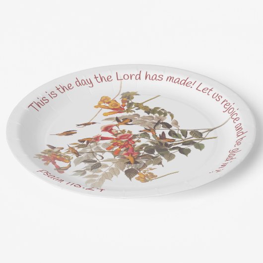 Ruby Throated Hummingbird mit Psalm 118:24 Pappteller (Schrägansicht)