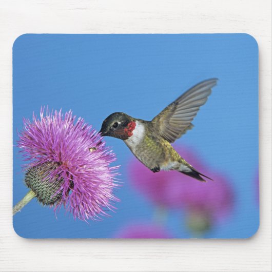 Ruby-throated Hummingbird Mousepad (Vorne)