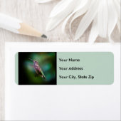 Ruby-throated Hummingbird - Original Foto (Insitu)