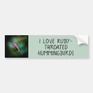 Ruby-throated Hummingbird - Original Foto Autoaufkleber