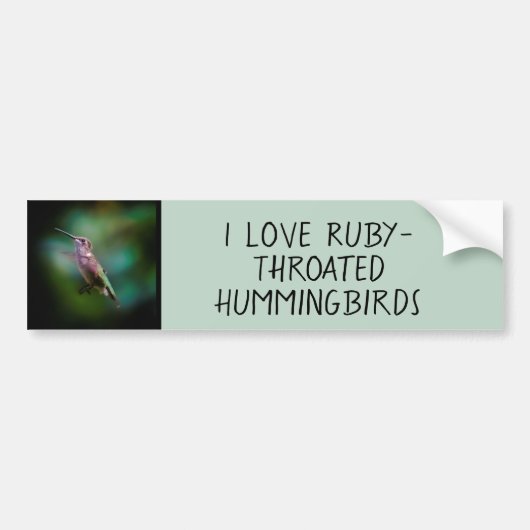 Ruby-throated Hummingbird - Original Foto Autoaufkleber (Vorne)