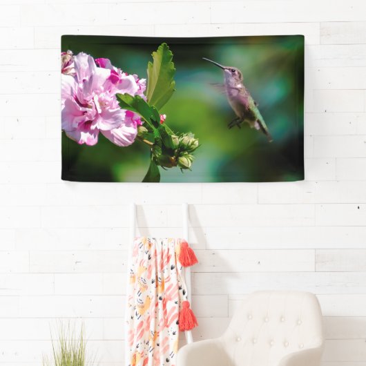 Ruby-throated Hummingbird - Original Foto Banner (Insitu)