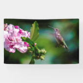Ruby-throated Hummingbird - Original Foto Banner (Horizontal)