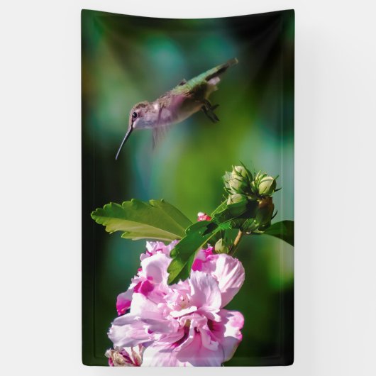 Ruby-throated Hummingbird - Original Foto Banner (Vertikal)