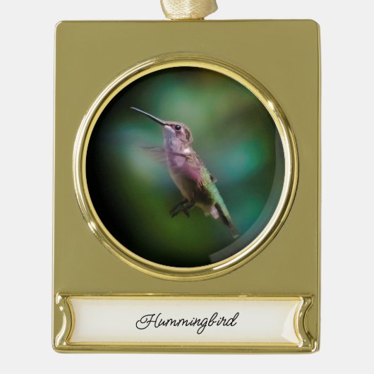 Ruby-throated Hummingbird - Original Foto Banner-Ornament Gold (Vorderseite)