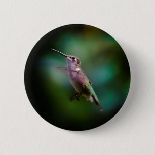 Ruby-throated Hummingbird - Original Foto Button