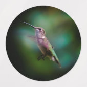 Ruby-throated Hummingbird - Original Foto Etiketten (Design 1)
