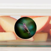 Ruby-throated Hummingbird - Original Foto Etiketten (Befestigt)