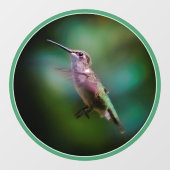 Ruby-throated Hummingbird - Original Foto Fensteraufkleber (Blatt)
