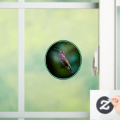 Ruby-throated Hummingbird - Original Foto Fensteraufkleber (Zuhause)