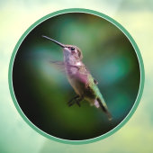 Ruby-throated Hummingbird - Original Foto Fensteraufkleber (Blatt 3)