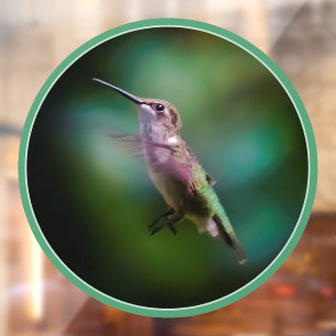 Ruby-throated Hummingbird - Original Foto Fensteraufkleber