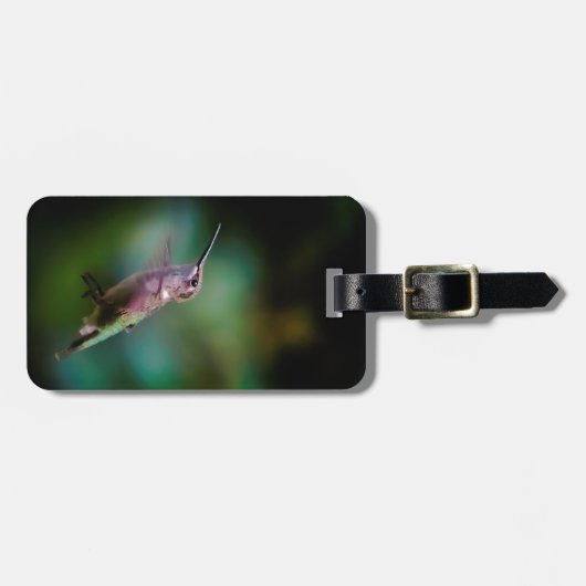 Ruby-throated Hummingbird - Original Foto Gepäckanhänger (Vorderseite horizontal)