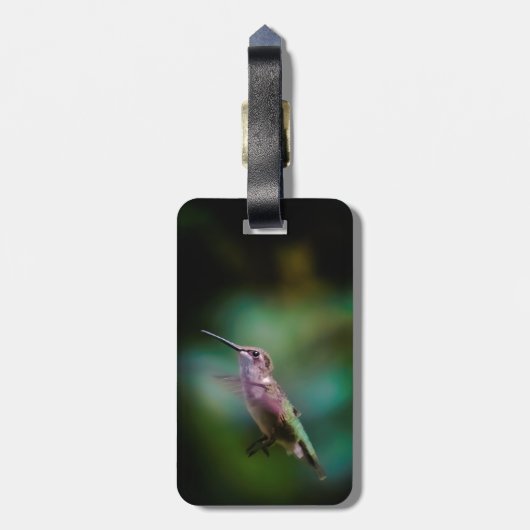 Ruby-throated Hummingbird - Original Foto Gepäckanhänger (Rückseite vertikal)