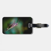 Ruby-throated Hummingbird - Original Foto Gepäckanhänger (Rückseite horizontal)