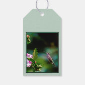 Ruby-throated Hummingbird - Original Foto Geschenkanhänger (Rückseite)