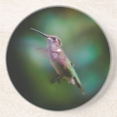 Ruby-throated Hummingbird - Original Foto Getränkeuntersetzer (Vorne)