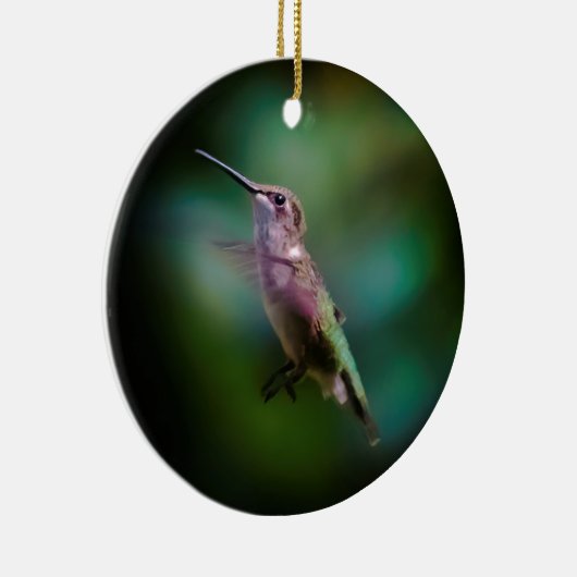 Ruby-throated Hummingbird - Original Foto Keramik Ornament (Rechts)