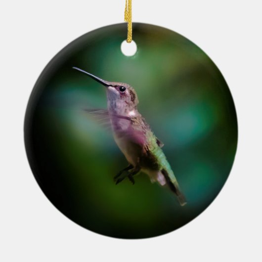 Ruby-throated Hummingbird - Original Foto Keramik Ornament (Hinten)