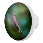 Ruby-throated Hummingbird - Original Foto Keramikknauf (Rechts)