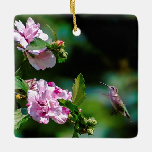 Ruby-throated Hummingbird - Original Foto Keramikornament (Vorderseite)