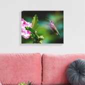 Ruby-throated Hummingbird - Original Foto Leinwanddruck (Insitu (Wohnzimmer))