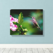 Ruby-throated Hummingbird - Original Foto Leinwanddruck (Insitu (Holzboden))