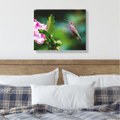 Ruby-throated Hummingbird - Original Foto Leinwanddruck (Insitu (Schlafzimmer))