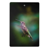 Ruby-throated Hummingbird - Original Foto Mini Klemmbrett (Rückseite)