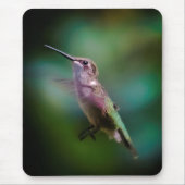Ruby-throated Hummingbird - Original Foto Mousepad (Vorne)