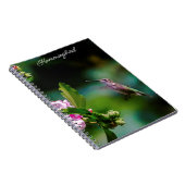 Ruby-throated Hummingbird - Original Foto Notizblock (Rechte Seite)